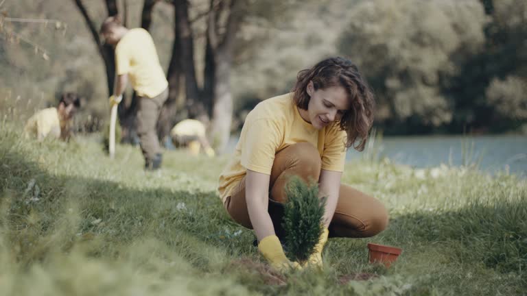 Grass Overseeding